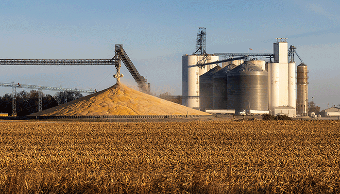 Iowa Grain Indemnity Fund to reinstate assessment July 1 