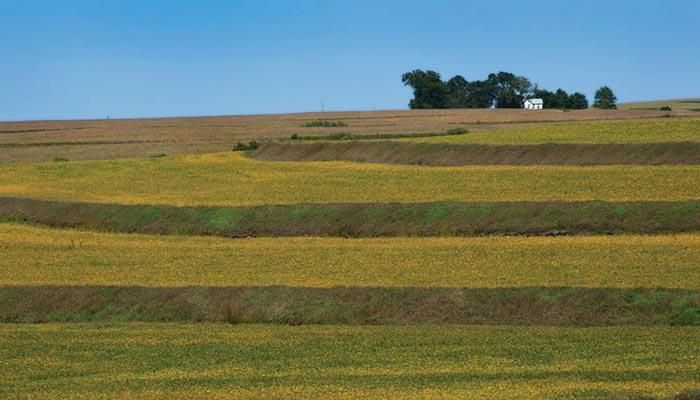 Photo of waterways in a field.