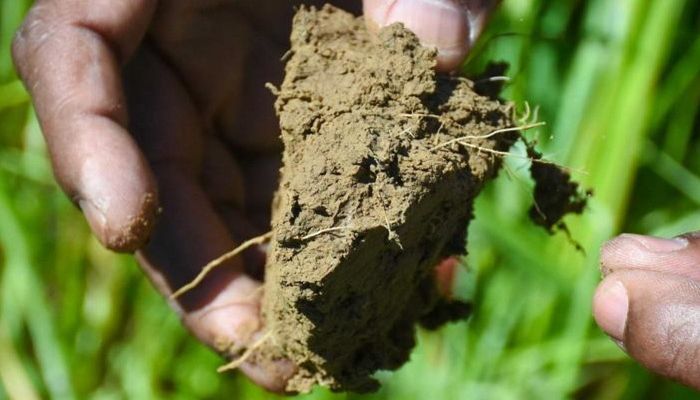 USDA Invests $8 Million in Four Partnerships to Expand Measurement and Monitoring of Soil Carbon