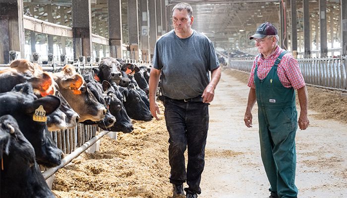 Meet Dutchland Dairy 