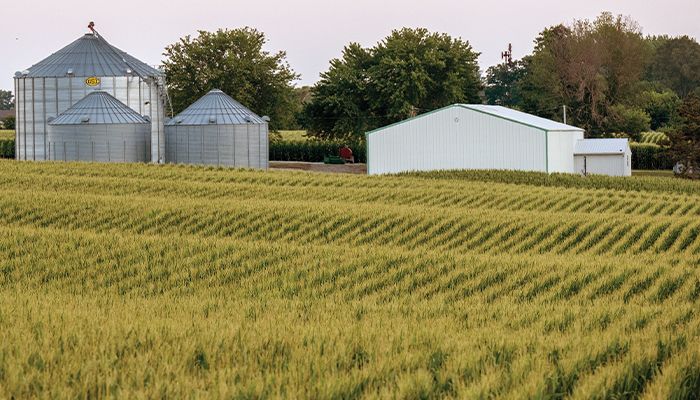 Farm owners aging, leasing out land 