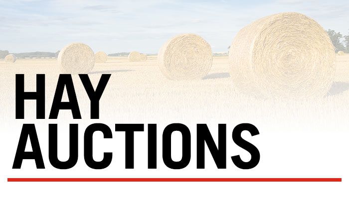 Hay auctions 7/5