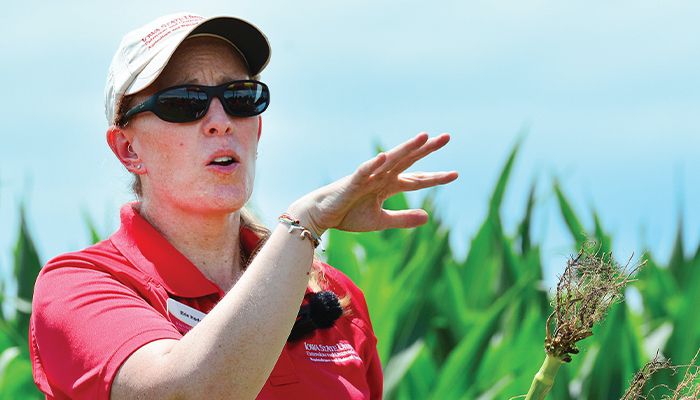Japanese beetles, grasshoppers, spider mites, rootworm, gall midge on radar