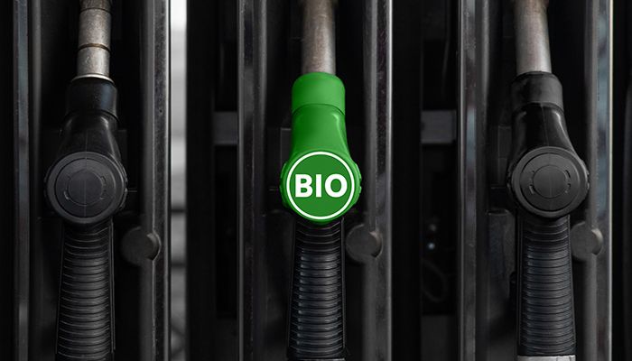 Biofuel pump