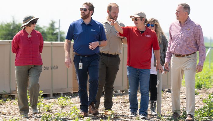 Harnessing the sun for food and energy 