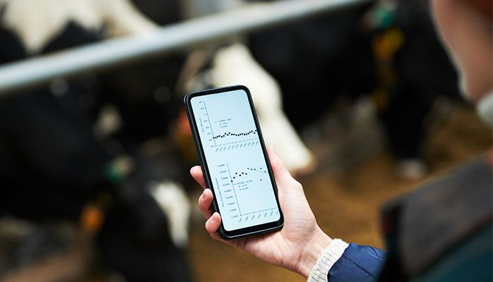 dairy farmer holding smartphone