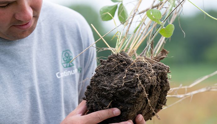 Survey shows farmers intend to stick with cover crops after incentives end 