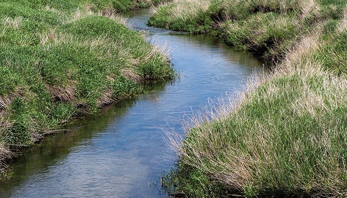 stream through a farm field