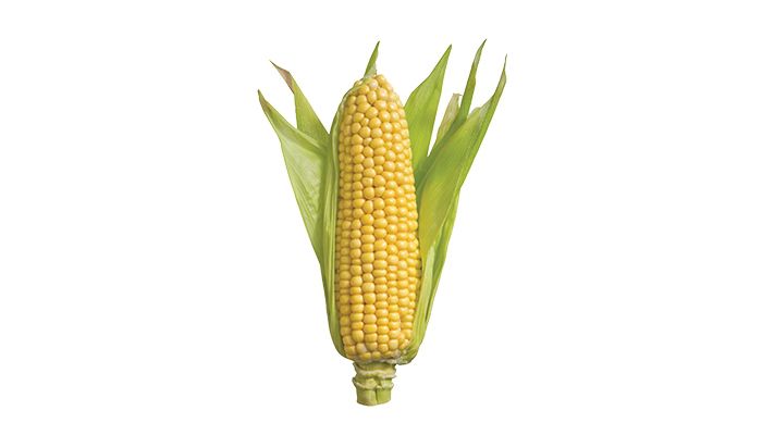Corn: A to Z 