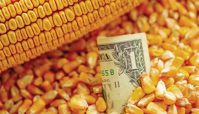 Future farm income uncertainty grows 