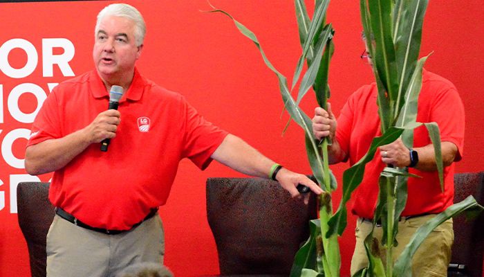 Researchers optimistic about short stature corn 