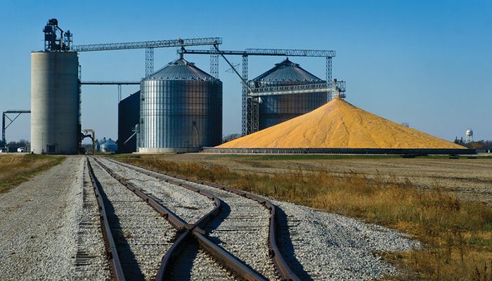 grain coop