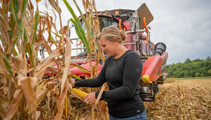 Dry conditions accelerate harvest plans 