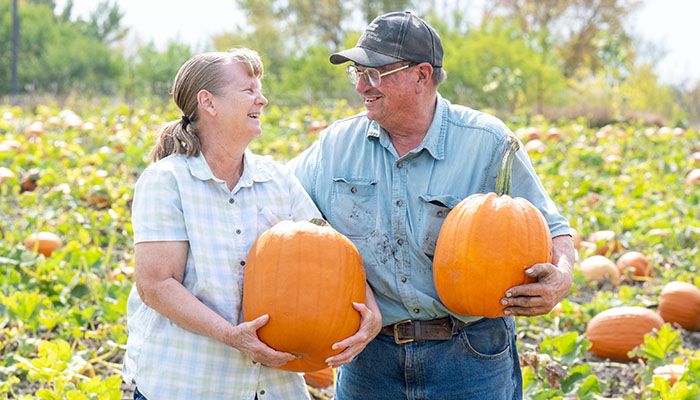 Pumpkins and ponies 