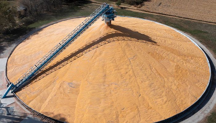 Large Decline in Ukrainian Grain Exports Expected 