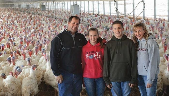 How Do Turkey Farmers Raise Enough Turkey for Thanksgiving