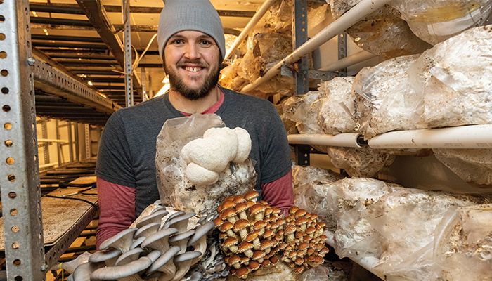 Much to love about mushrooms 