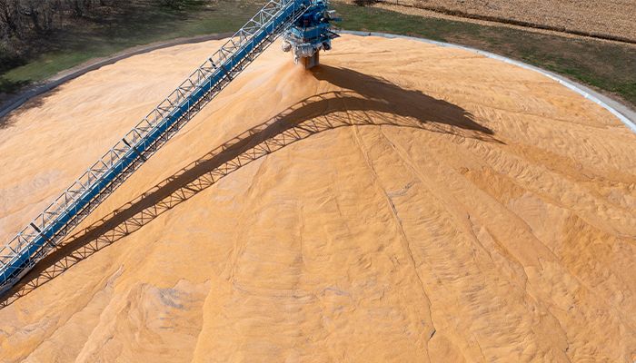 U.S. corn production hits record level 