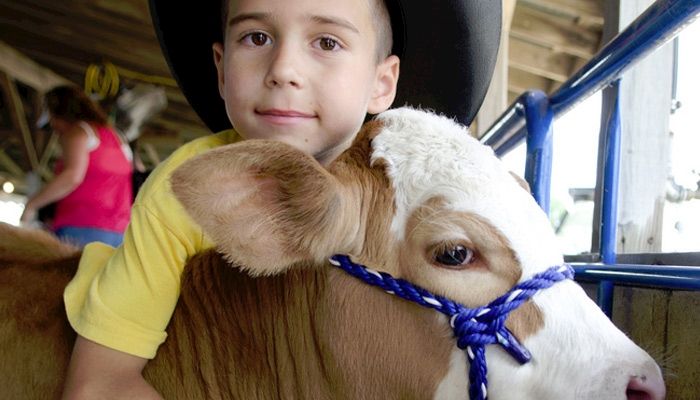Get out and enjoy Iowa's county fairs!