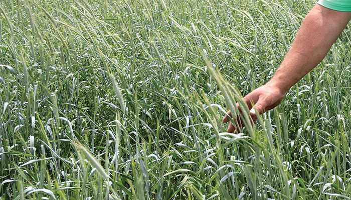 Carbon farming an investment in farm health