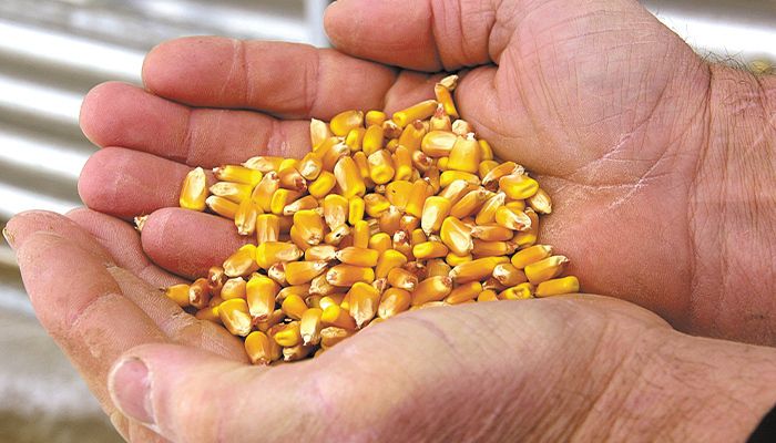 Top corn yield goes to Crawford County farm