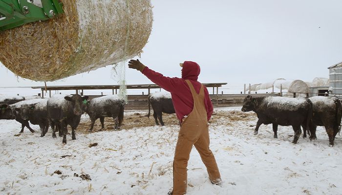 Animal agriculture essential to meeting the world's nutrition needs