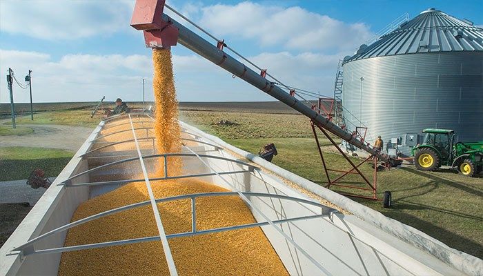 U.S. Corn Exports During the First Four Months Of 2023/24 Rebounded from The Previous Year