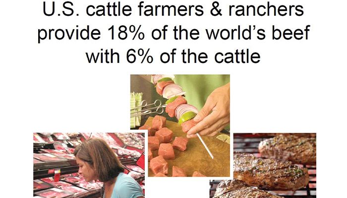 Animal agriculture is not the bad guy 