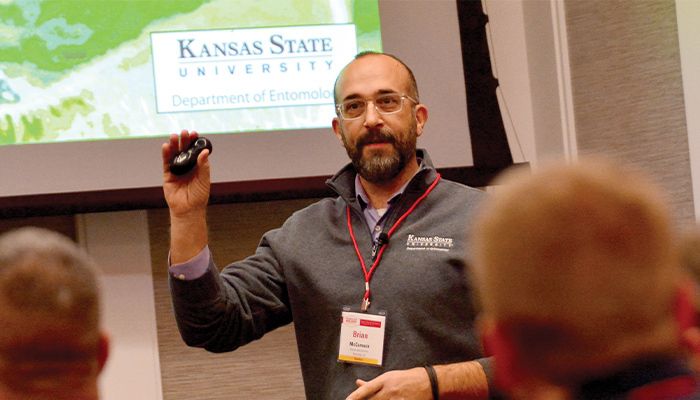 New soybean pest found in western Iowa 