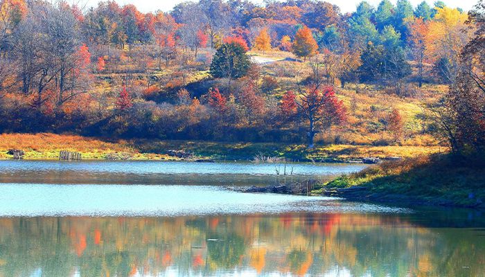 Farmers play large role in Lake Meyer restoration 