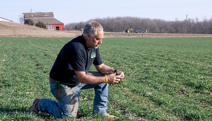 Consider precision fertilizer placement 