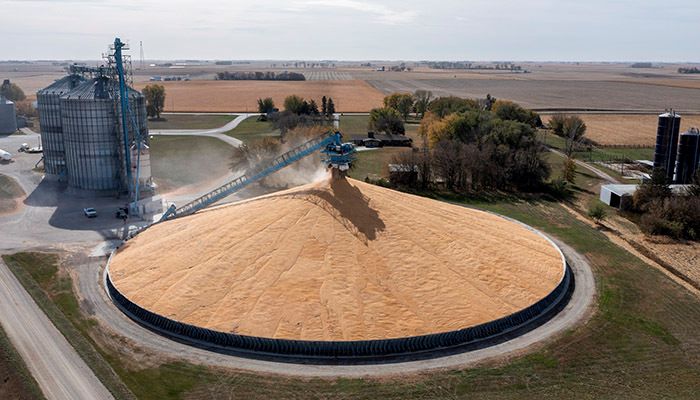 Grain Indemnity Fund bill advances