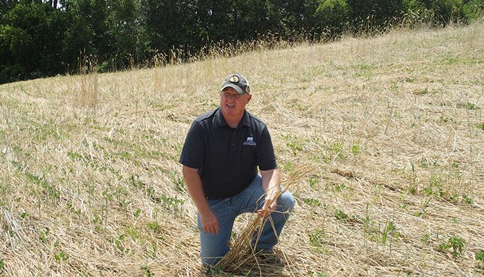 Healthy Soil: Learn to spot it