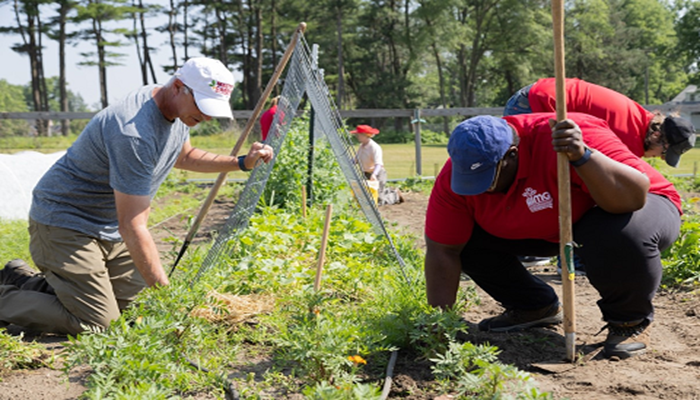 Master Gardener Fall Training application open now