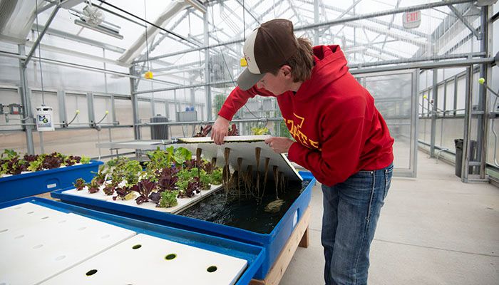 Win $10,000 for Your Innovative Ag Business