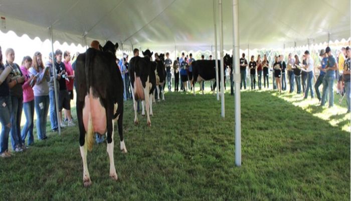 CCFB Donates Towards Local Dairy Expo