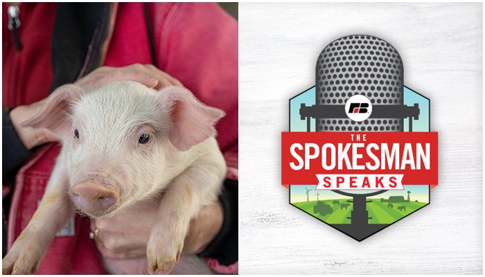 How to sell pork in California by complying with Prop 12 | The Spokesman Speaks Podcast, Episode 167