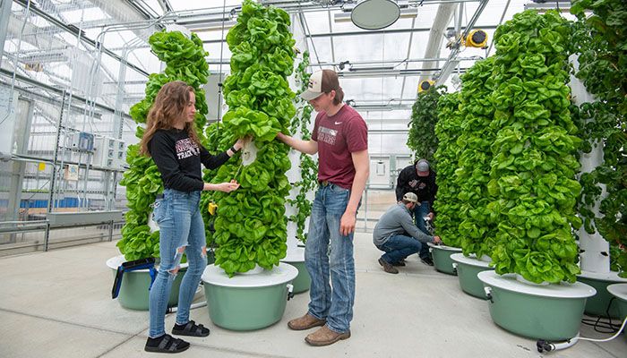 Ag in the Classroom 