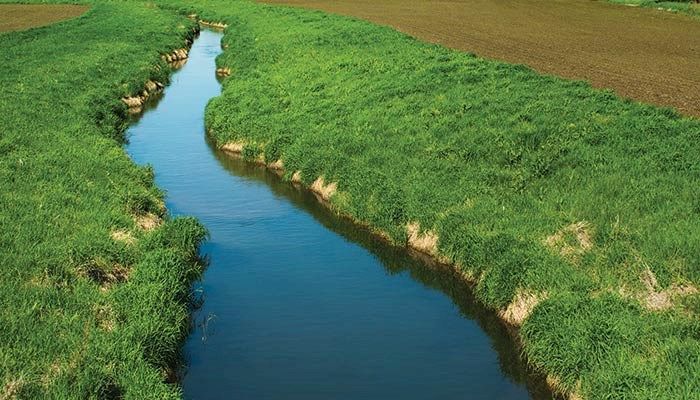 August is water quality month
