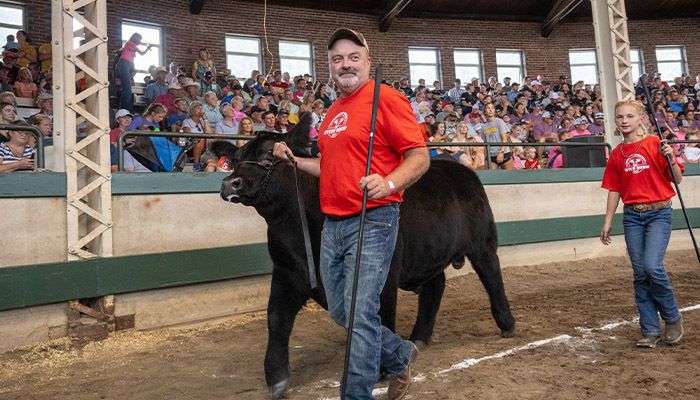 Another record for Governor’s Steer Show 