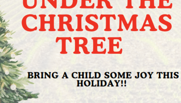 Looking to give back this holiday season?