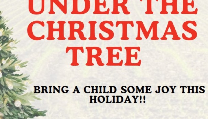 Looking to give back this holiday season?
