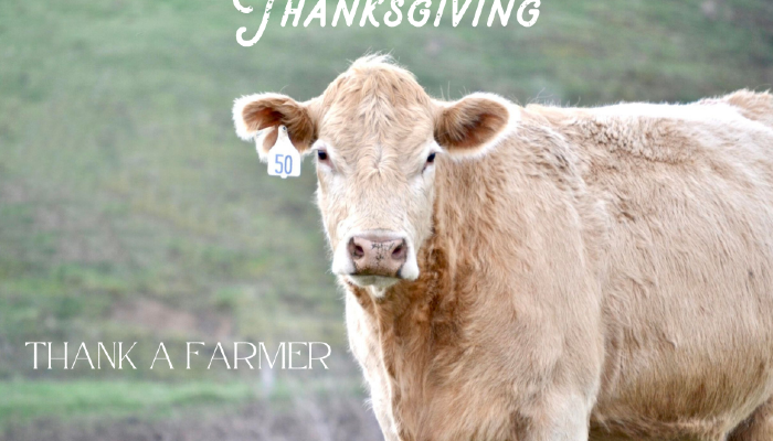 Thankful for Farmers