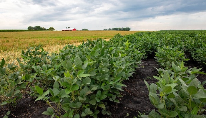 Breaking Records: NRCS Tops $100 Million in Conservation Funding to Iowa Farmers