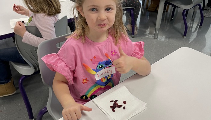 Cranberries with preschool