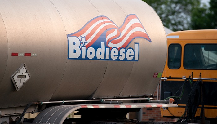 Guidance issued for climate-smart crops used as biofuel feedstocks 