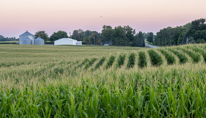Keeping farms and families healthy 