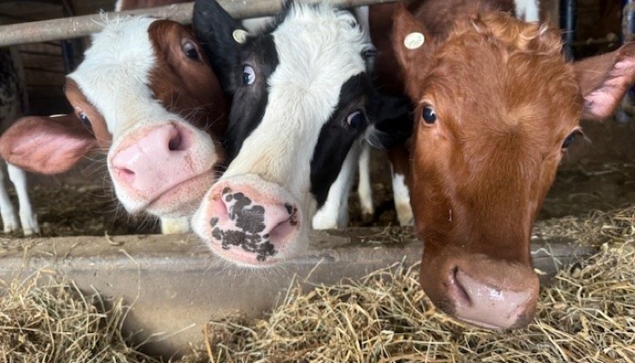 Happy National Agriculture Week!