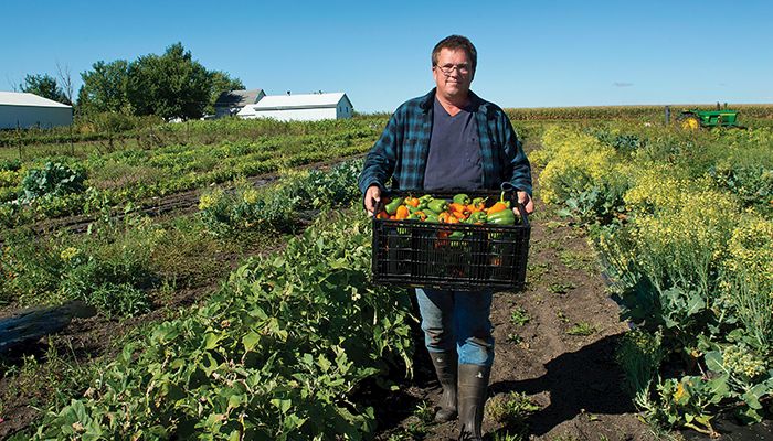 Produce safety training for fruit and vegetable farmers