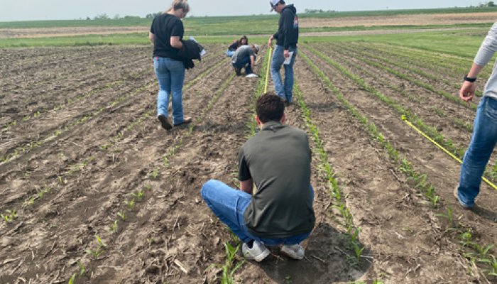 Registration is open for 2025 Crop Scout School 